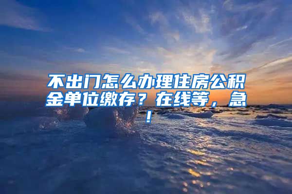 不出门怎么办理住房公积金单位缴存？在线等，急！