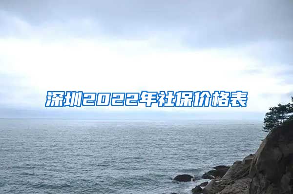 深圳2022年社保价格表