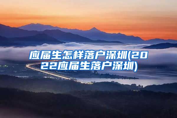 应届生怎样落户深圳(2022应届生落户深圳)