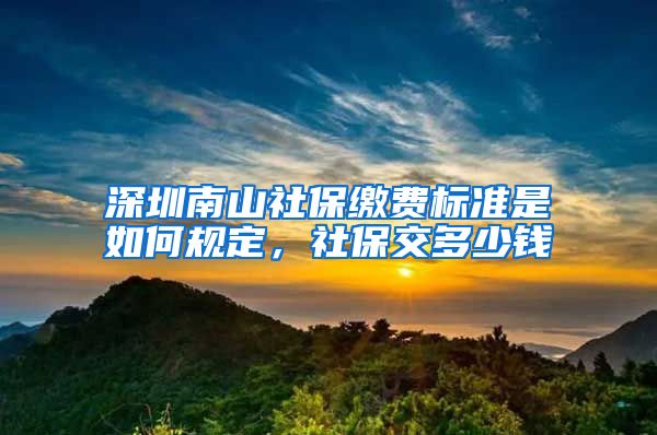 深圳南山社保缴费标准是如何规定，社保交多少钱