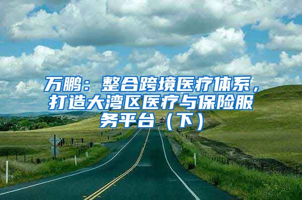 万鹏：整合跨境医疗体系，打造大湾区医疗与保险服务平台（下）