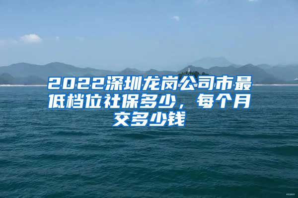 2022深圳龙岗公司市最低档位社保多少，每个月交多少钱