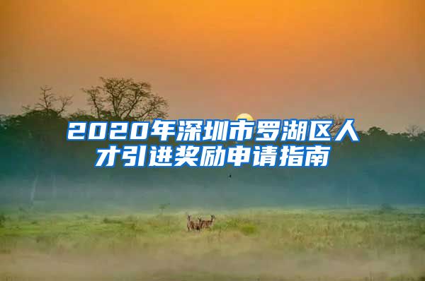 2020年深圳市罗湖区人才引进奖励申请指南