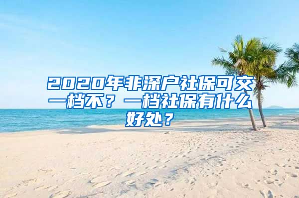 2020年非深户社保可交一档不？一档社保有什么好处？