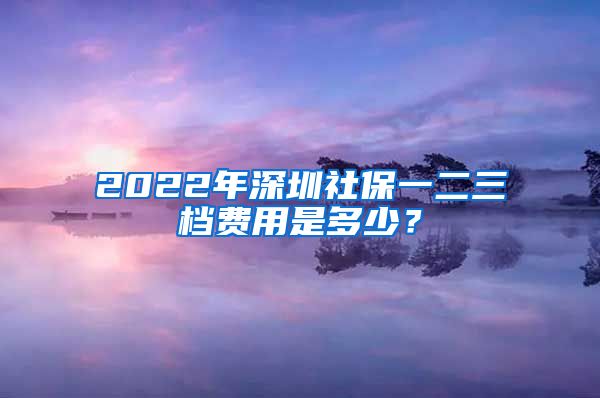 2022年深圳社保一二三档费用是多少？