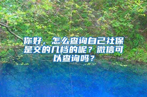 你好，怎么查询自己社保是交的几档的呢？微信可以查询吗？