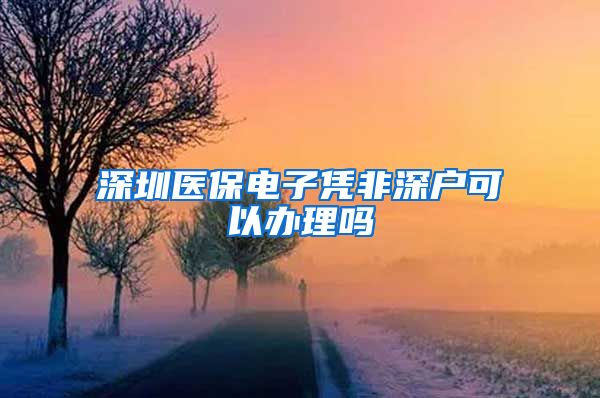 深圳医保电子凭非深户可以办理吗