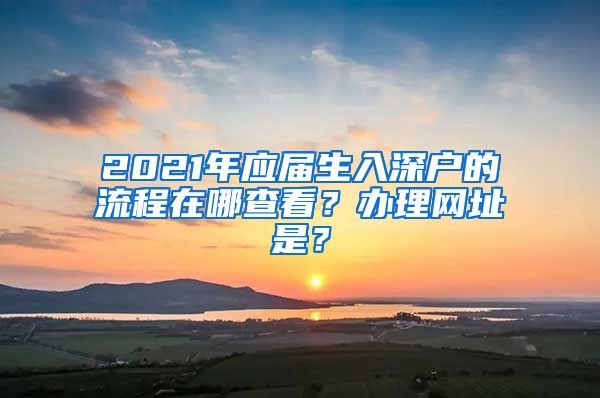 2021年应届生入深户的流程在哪查看？办理网址是？