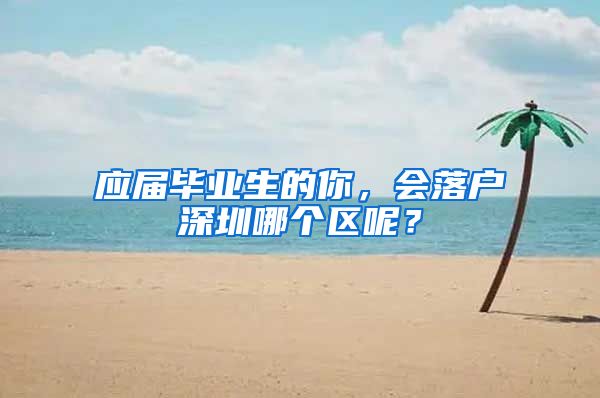 应届毕业生的你，会落户深圳哪个区呢？