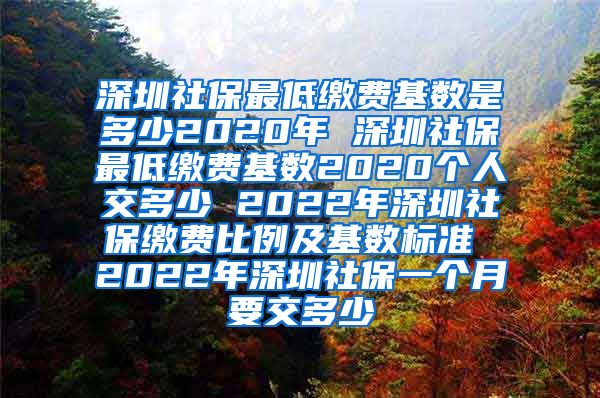 深圳社保最低缴费基数是多少2020年 深圳社保最低缴费基数2020个人交多少 2022年深圳社保缴费比例及基数标准 2022年深圳社保一个月要交多少