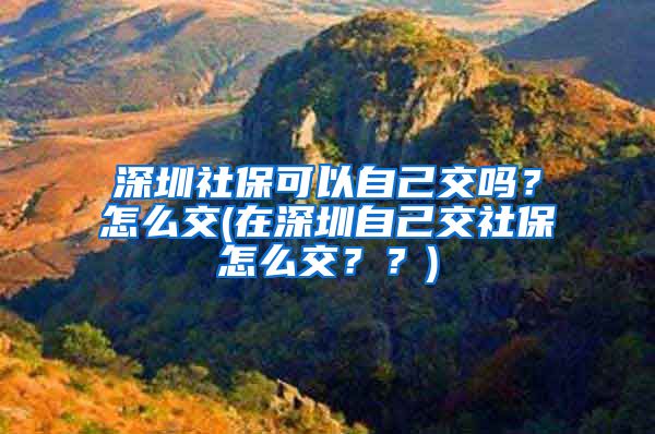 深圳社保可以自己交吗？怎么交(在深圳自己交社保怎么交？？)