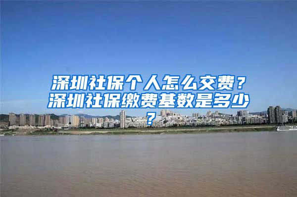 深圳社保个人怎么交费？深圳社保缴费基数是多少？