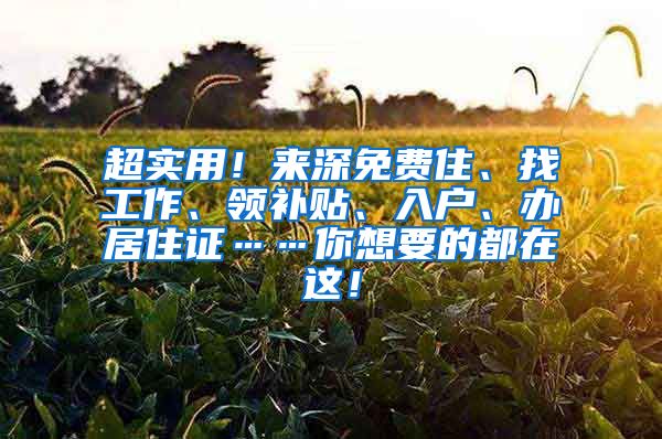 超实用！来深免费住、找工作、领补贴、入户、办居住证……你想要的都在这！