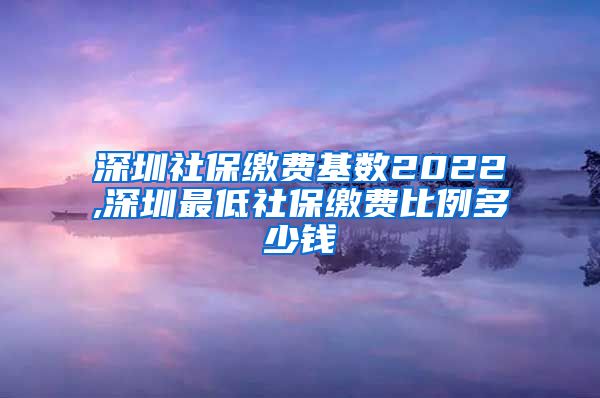 深圳社保缴费基数2022,深圳最低社保缴费比例多少钱