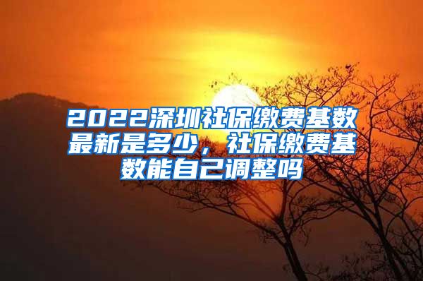 2022深圳社保缴费基数最新是多少，社保缴费基数能自己调整吗