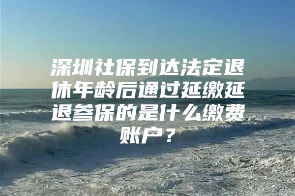 深圳社保到达法定退休年龄后通过延缴延退参保的是什么缴费账户？