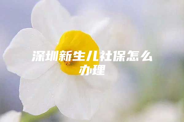 深圳新生儿社保怎么办理