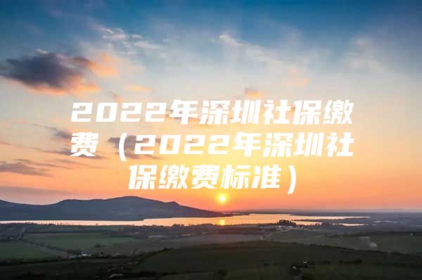 2022年深圳社保缴费（2022年深圳社保缴费标准）