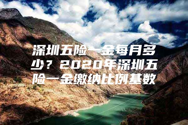 深圳五险一金每月多少？2020年深圳五险一金缴纳比例基数