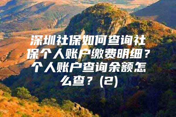 深圳社保如何查询社保个人账户缴费明细？个人账户查询余额怎么查？(2)