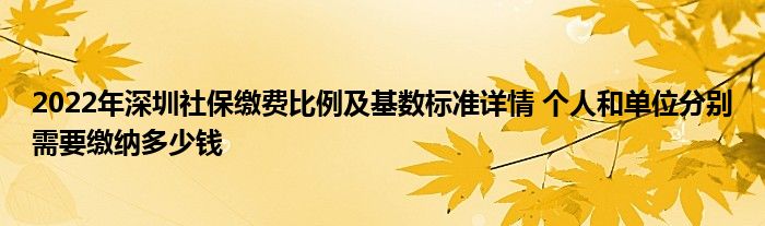 2022年深圳社保缴费比例及基数标准详情 个人和单位分别需要缴纳多少钱