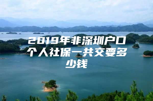 2019年非深圳户口个人社保一共交要多少钱