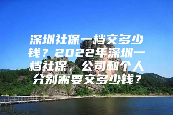 深圳社保一档交多少钱？2022年深圳一档社保，公司和个人分别需要交多少钱？