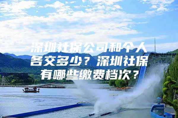 深圳社保公司和个人各交多少？深圳社保有哪些缴费档次？