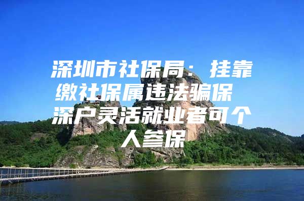 深圳市社保局：挂靠缴社保属违法骗保 深户灵活就业者可个人参保