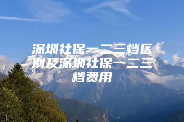 深圳社保一二三档区别及深圳社保一二三档费用