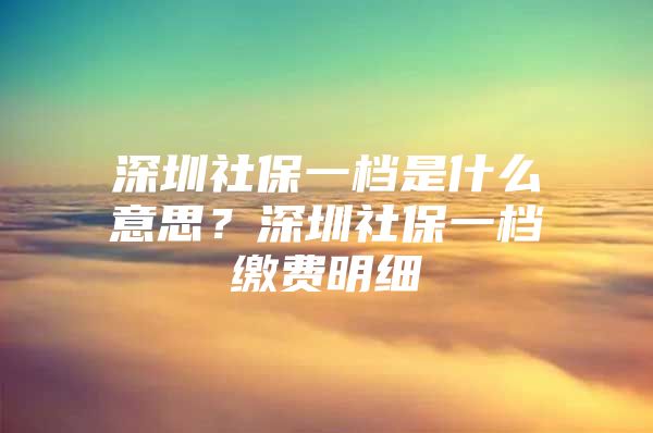 深圳社保一档是什么意思？深圳社保一档缴费明细