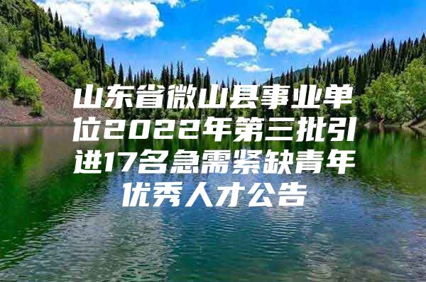 山东省微山县事业单位2022年第三批引进17名急需紧缺青年优秀人才公告