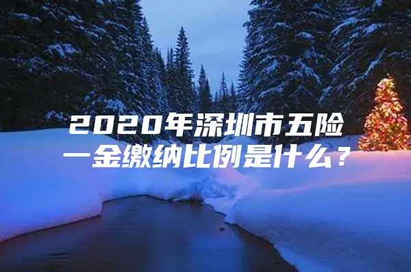 2020年深圳市五险一金缴纳比例是什么？