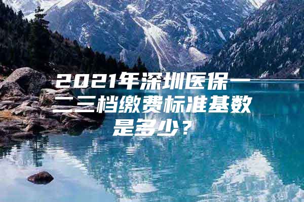 2021年深圳医保一二三档缴费标准基数是多少？