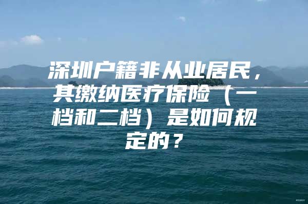 深圳户籍非从业居民，其缴纳医疗保险（一档和二档）是如何规定的？