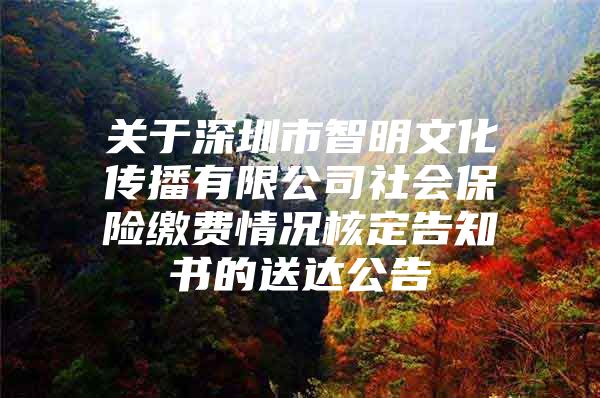 关于深圳市智明文化传播有限公司社会保险缴费情况核定告知书的送达公告