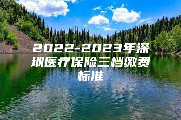 2022-2023年深圳医疗保险三档缴费标准