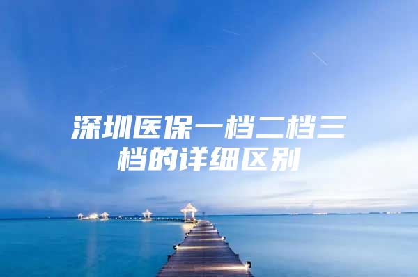 深圳医保一档二档三档的详细区别