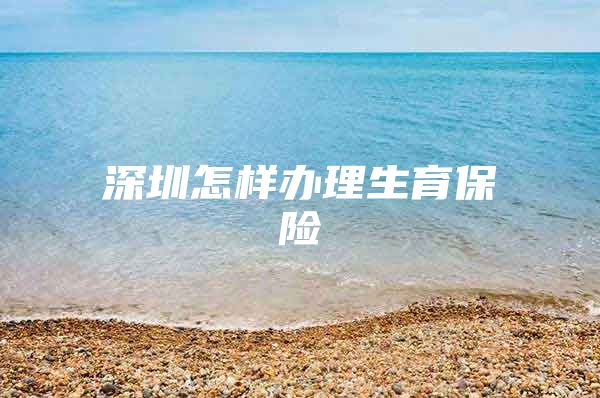 深圳怎样办理生育保险