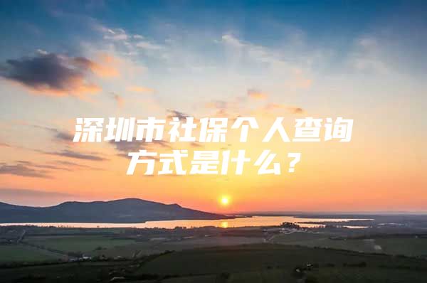 深圳市社保个人查询方式是什么？