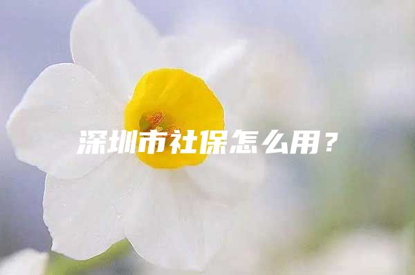 深圳市社保怎么用？