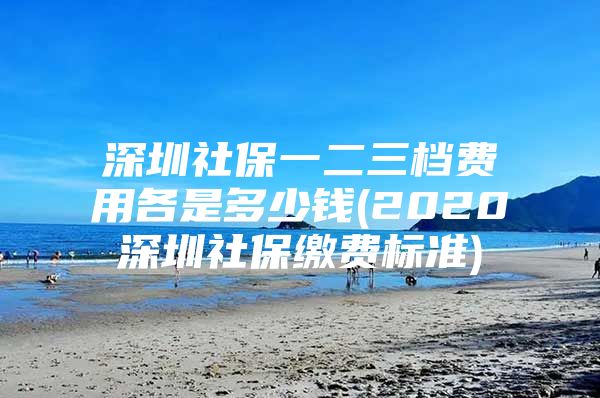 深圳社保一二三档费用各是多少钱(2020深圳社保缴费标准)