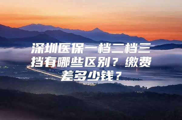 深圳医保一档二档三挡有哪些区别？缴费差多少钱？