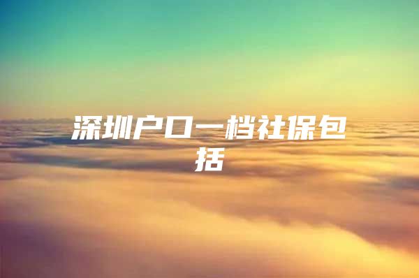 深圳户口一档社保包括