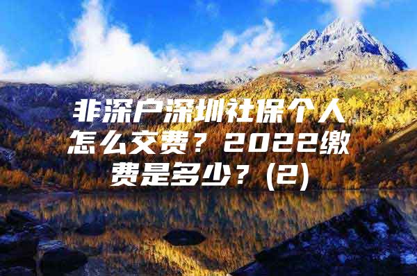 非深户深圳社保个人怎么交费？2022缴费是多少？(2)