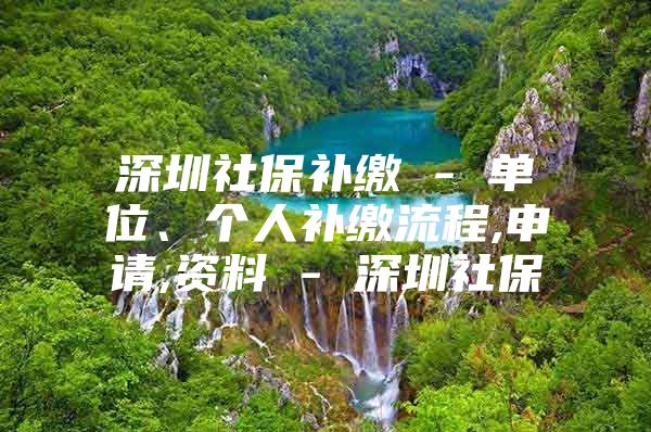 深圳社保补缴 - 单位、个人补缴流程,申请,资料 - 深圳社保