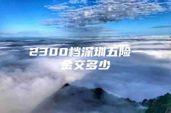 2300档深圳五险一金交多少