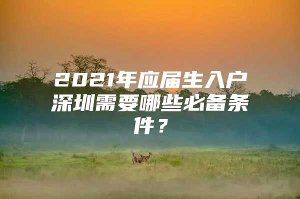 2021年应届生入户深圳需要哪些必备条件？