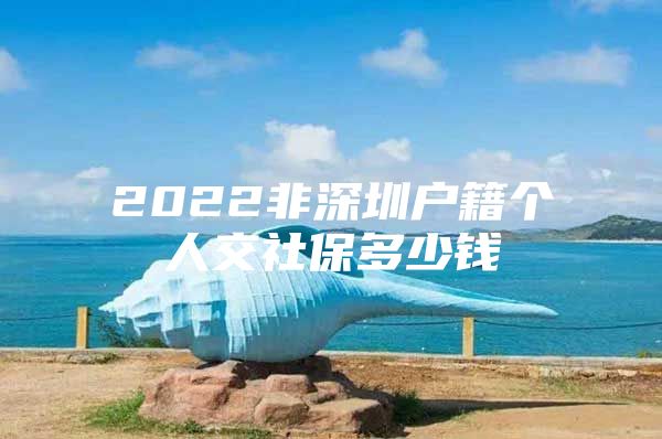 2022非深圳户籍个人交社保多少钱