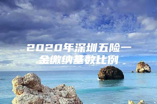 2020年深圳五险一金缴纳基数比例